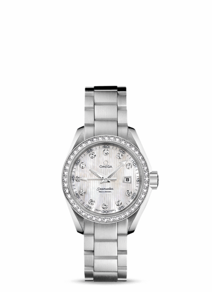 OMEGA Watches: Seamaster Aqua Terra Jewellery - Steel on steel - 231.15.30.61.55.001